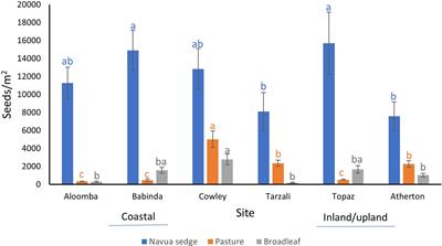 Soil Seed Bank Dynamics of Pastures Invaded by Navua Sedge (Cyperus aromaticus) in Tropical North Queensland